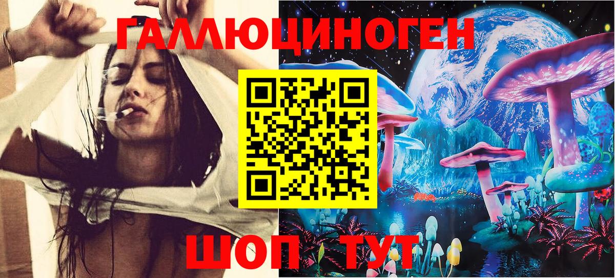 Псилоцибиновые грибы GOLDEN TEACHER  купить наркотик  Кыштым  Вход с VPN  Галлюциногенные грибы Magic Shrooms 