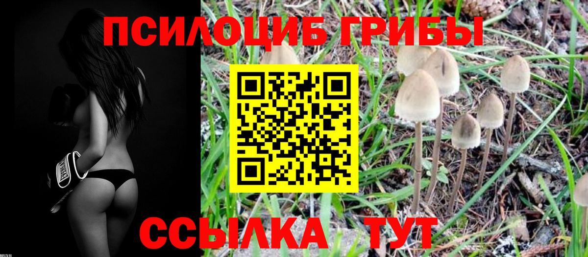 Галлюциногенные грибы мухоморы Кыштым