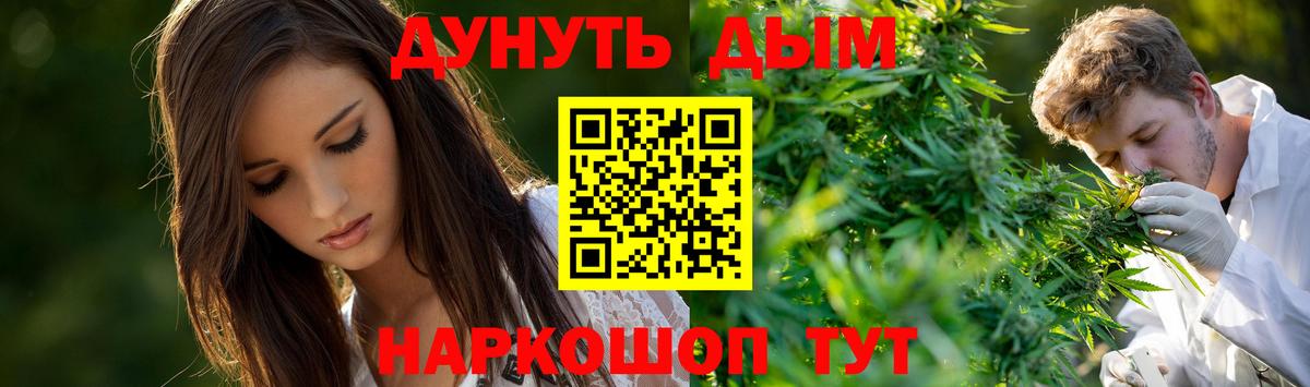 Шишки марихуана планчик  Конопля планчик  Шишки марихуана White Widow  Вход с VPN  Кыштым  Канабис VHQ 